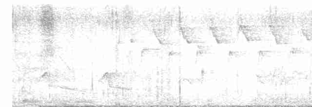 Пересмішник сірий - ML619030578