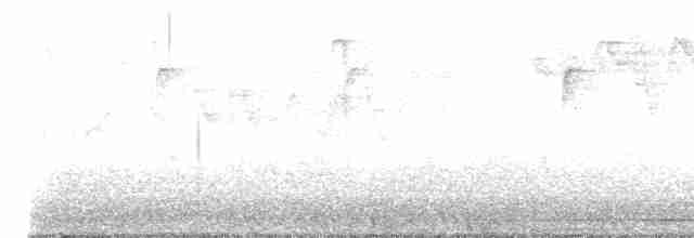 Paruline à gorge grise - ML619030746