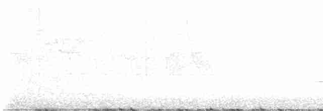 Дрізд-короткодзьоб плямистоволий - ML619031485