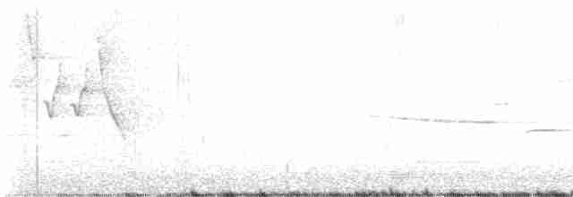Common Yellowthroat - ML619031553