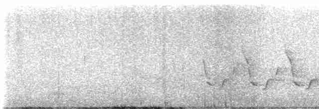 Поплітник каролінський - ML619032104