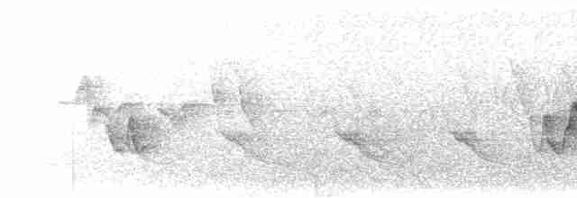 Cerulean Warbler - ML619032737