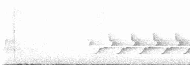 Каролинский крапивник - ML619032829