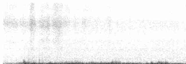 Hirondelle bicolore - ML619032920