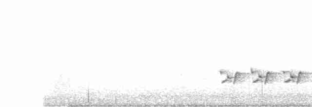 Каролинский крапивник - ML619033145