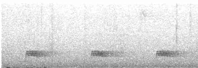 Tinamou à tête rousse - ML619034566