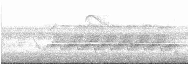Каролинский крапивник - ML619034885