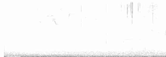 svartbrystparula - ML619034970