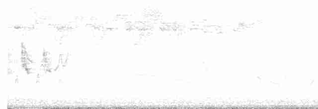 Черногорлая хвойница - ML619035016