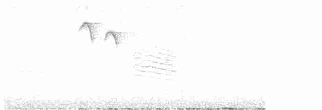 Dağ Baştankarası [montanus grubu] - ML619035049