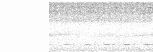 Сичик-горобець андійський - ML619035220