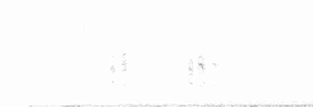 小燕鷗 - ML619035287