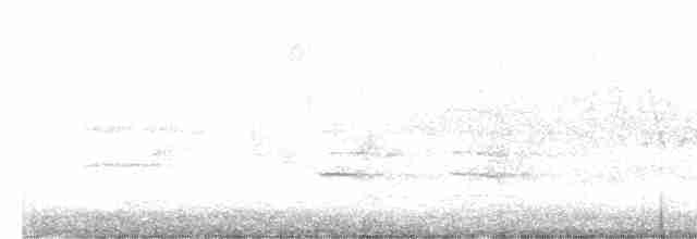 svartbrystparula - ML619035419