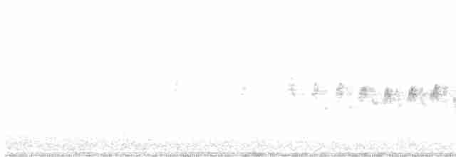 Klappergrasmücke (curruca/blythi/halimodendri) - ML619035420