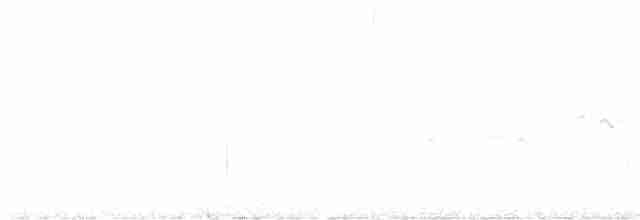 Papamoscas Acollarado - ML619035775
