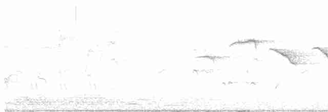 lejsek bělokrký - ML619035869