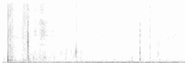 pygmésnipe - ML619036028