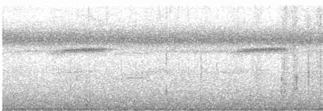 Mérulaxe du Narino - ML619036769