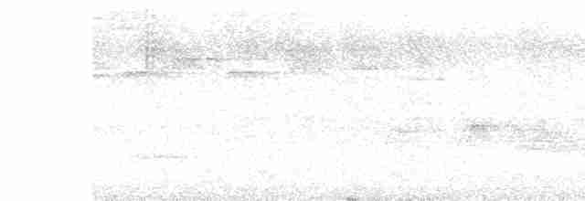 Streifenbrust-Ameisendrossel - ML619037508