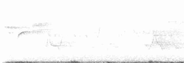 lesňáček modropláštíkový - ML619037786