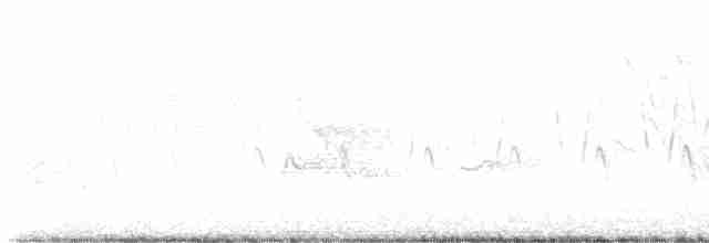 Cerulean Warbler - ML619037787