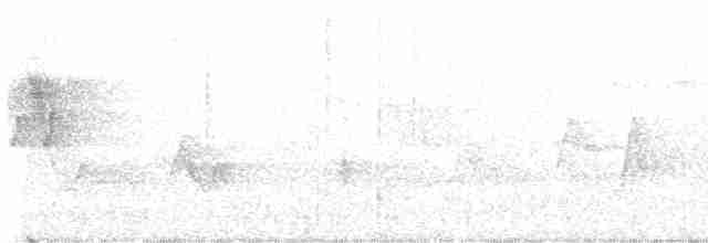 Cerulean Warbler - ML619038165