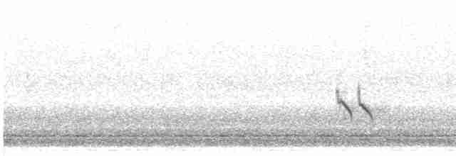 kortnebbekkasinsnipe - ML619038167