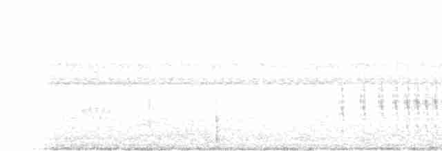 Желтогорлая пищуховая иглохвостка - ML619039617