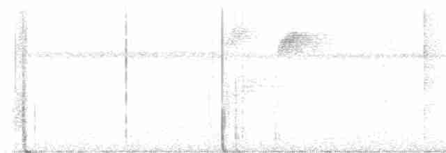 Бурокрылая сельвиния - ML619039777
