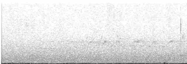 Paruline à gorge noire - ML619040151
