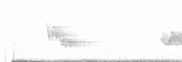 Canada Warbler - ML619040574
