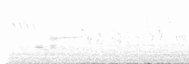 Rostscheitelammer - ML619040696
