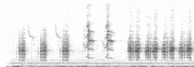 Great Reed Warbler - ML619040707