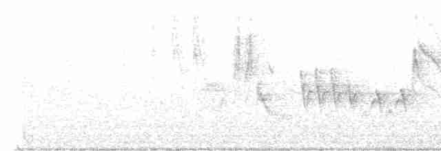Каньонный крапивник - ML619040716