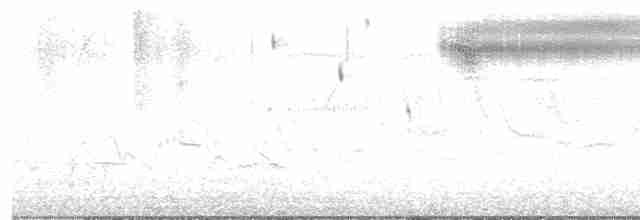 Bruant sauterelle - ML619041308
