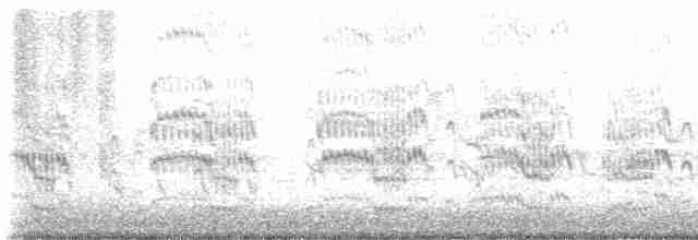 Common Tern - ML619041354