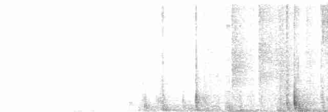 vlhovec červenokřídlý - ML619042296