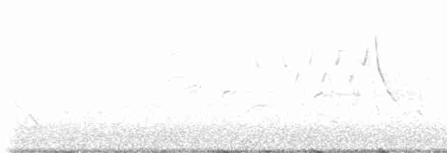 Sperlingsvogel, unbestimmt - ML619042583