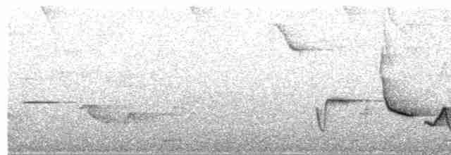 Серогрудый крапивник - ML619043159