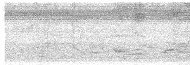 arawaktrost - ML619043297