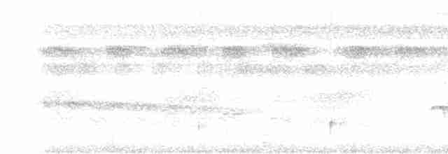Мурав’янка-прудкокрил перуанська - ML619043502