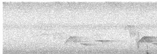 Gri Göğüslü Çıtkuşu - ML619044344