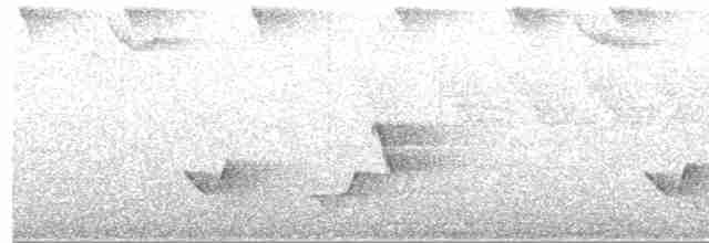 Gri Göğüslü Çıtkuşu - ML619044732