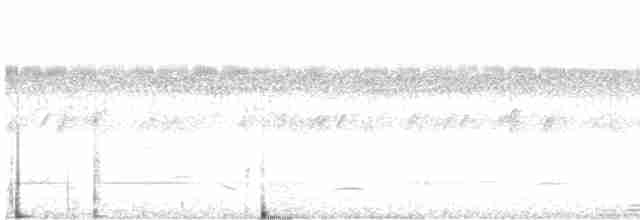 Cinereous Tinamou - ML619045110