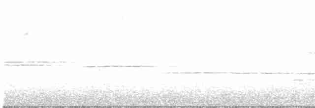 Белогорлая зонотрихия - ML619045501