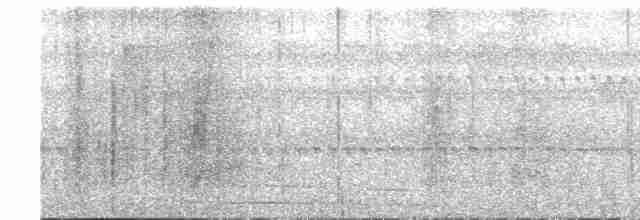 Kara Karınlı Çıtkuşu - ML619045853