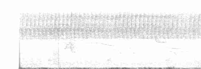 Paruline vermivore - ML619046368