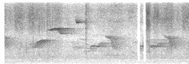 Белогрудый крапивник - ML619046752