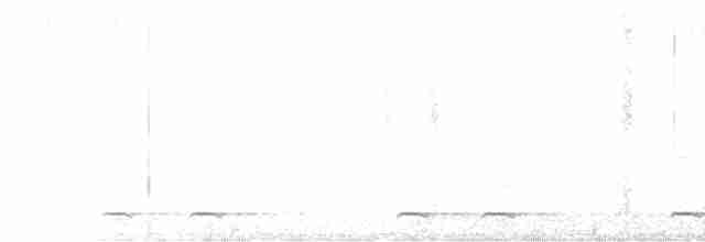 Chevêchette naine - ML619047270