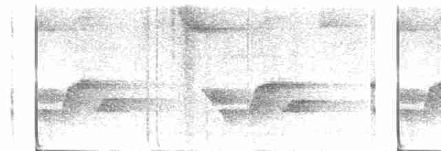 Серогрудый крапивник - ML619047349
